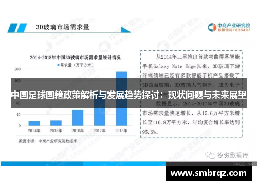 中国足球国籍政策解析与发展趋势探讨：现状问题与未来展望