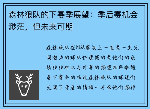 森林狼队的下赛季展望：季后赛机会渺茫，但未来可期