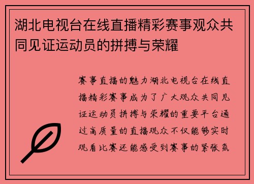 湖北电视台在线直播精彩赛事观众共同见证运动员的拼搏与荣耀